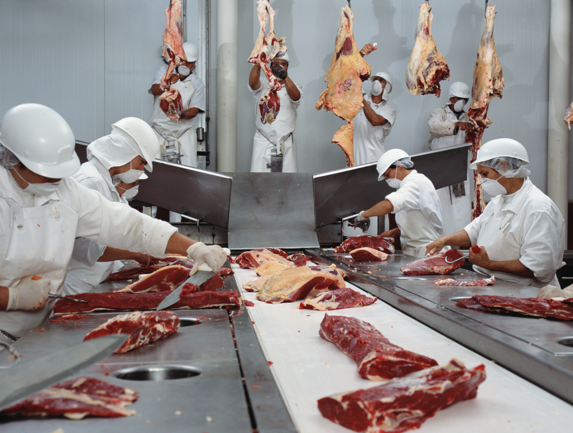 Sanitation and Handling Practices for Fresh Meat Retailers - Alabama  Cooperative Extension System