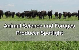 Animal Science and Forages Producer Spotlight
