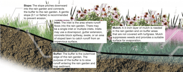 Figure 6. Design components of a rain garden.