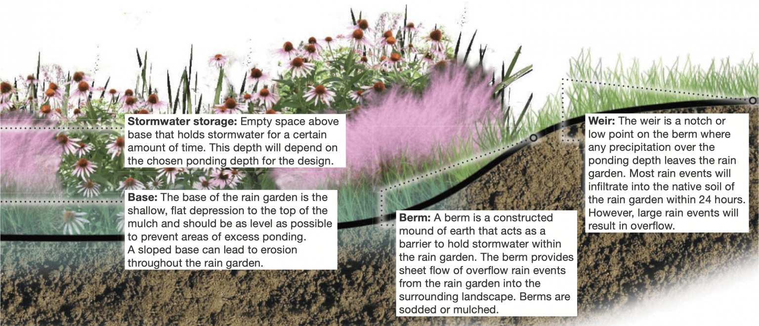 How to Install a Rain Garden Alabama Cooperative Extension System