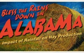 Bless the Rains Down in Alabama - Impact of Rainfall on Hay Production
