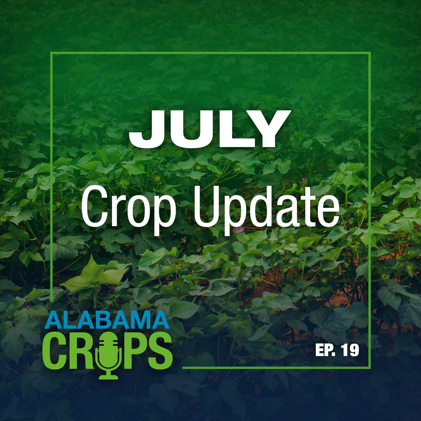 Episode 19 – July Crop Update episode artwork