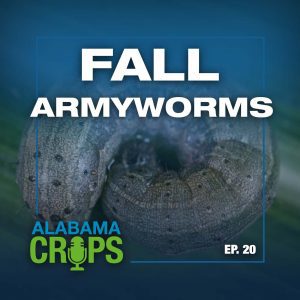 Episode 20—Fall Armyworms Alabama Crops