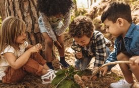 Kids in forest with a magnifying glass