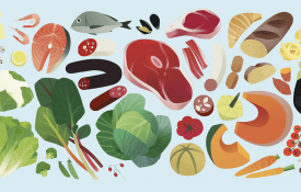 Illustrated foods