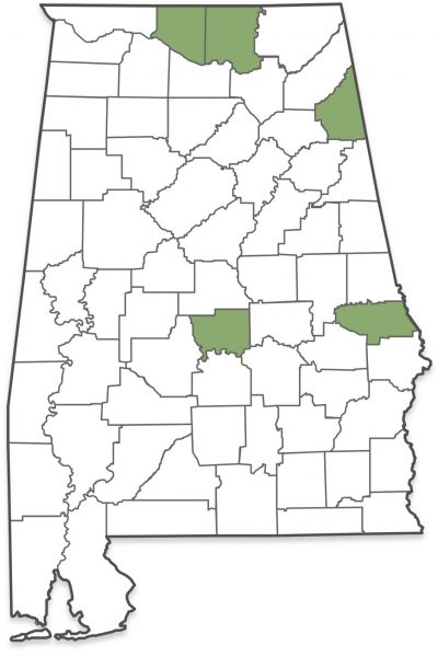 Figure 2. Counties (where tarnished plant bugs were collected to screen for insecticide resistance in 2018 and 2019.