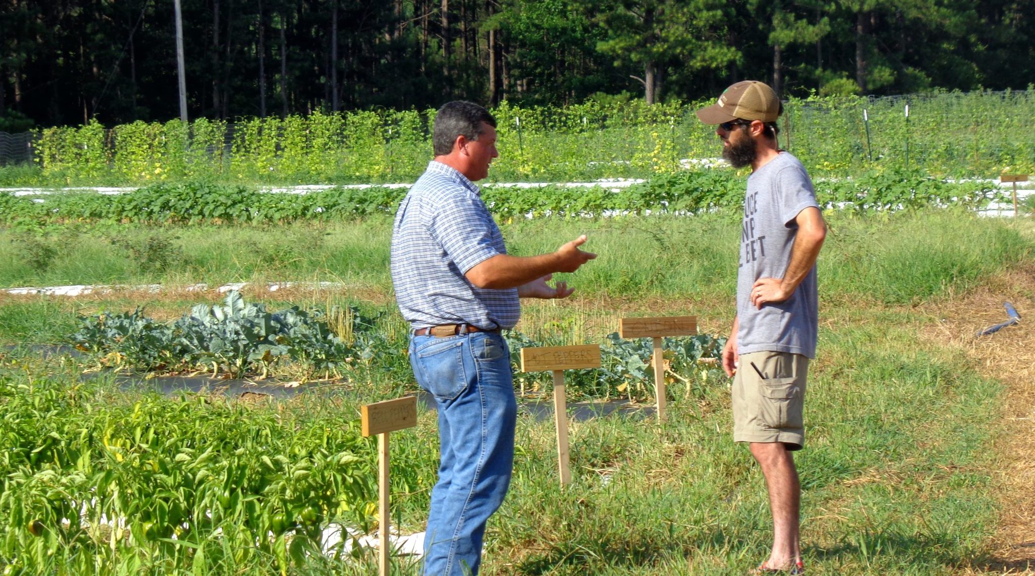 On-farm visit