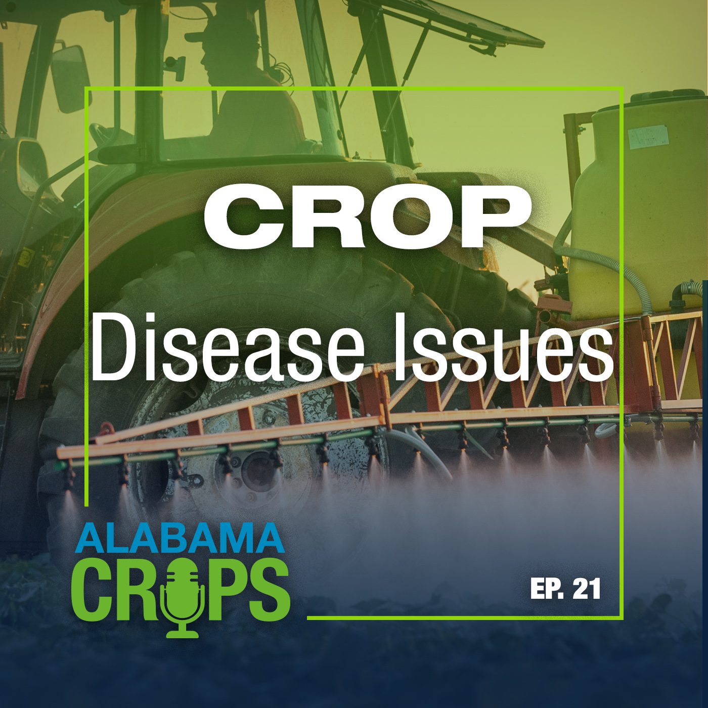 Episode 21 – Disease Issues in Row Crops
