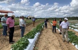 Commercial Horticulture Team member Chip East talking with growers