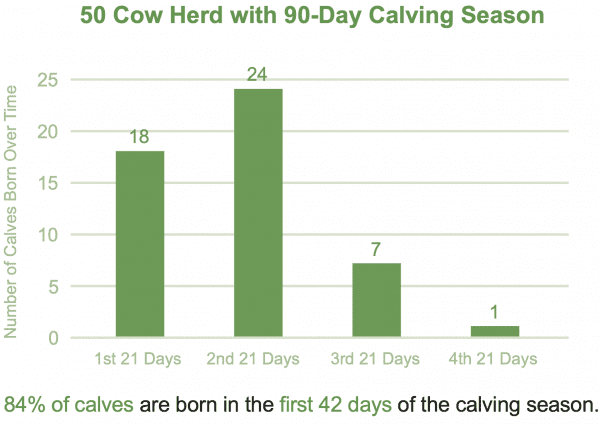 Figure 1. Efficient calving distribution.