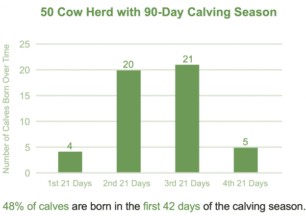 Figure 2. Less efficient calving distribution.