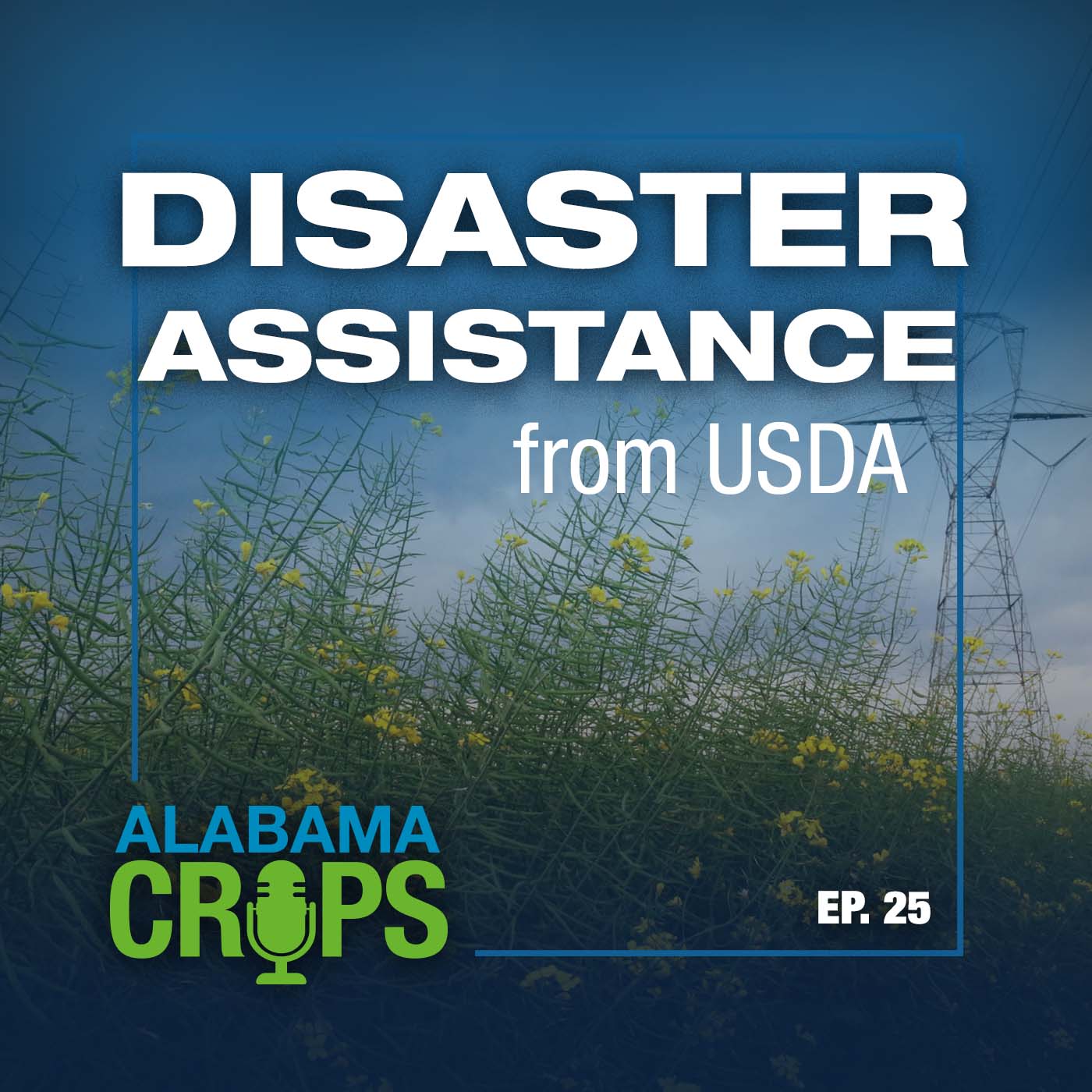 Episode 25 – Disaster Assistance from USDA
