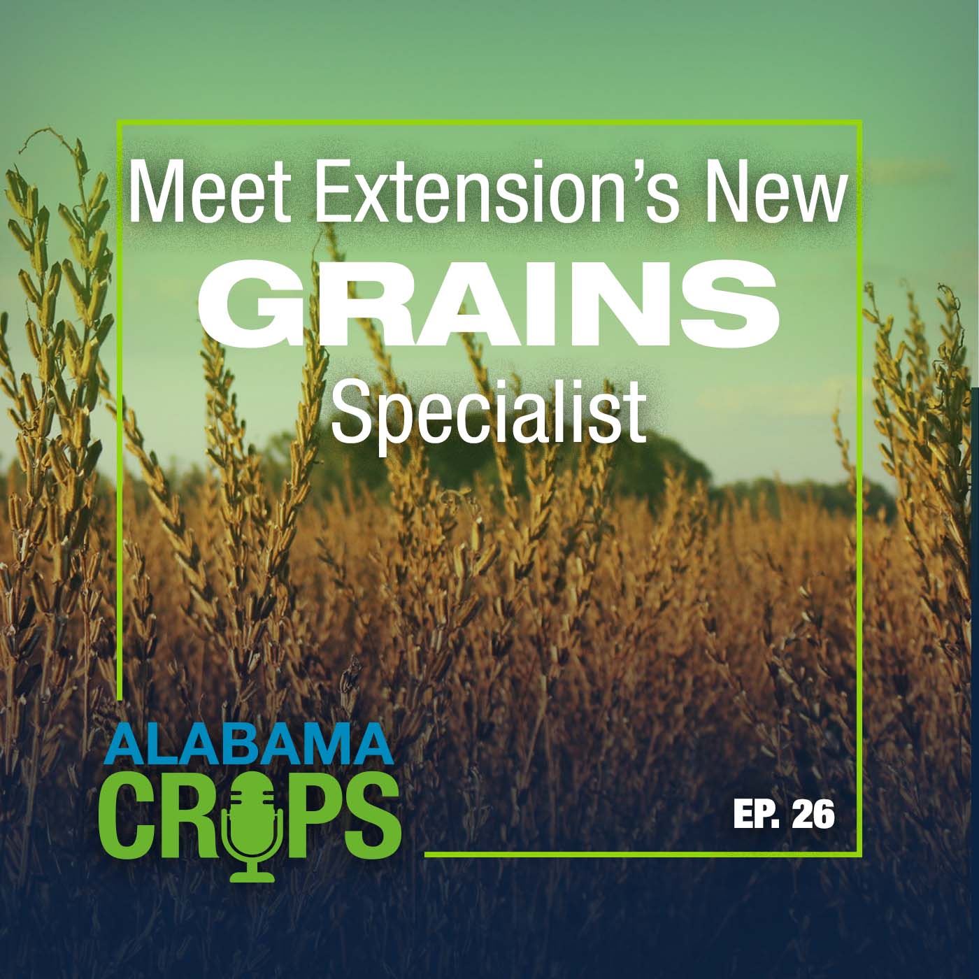 Episode 26 – Meet Extension’s New Grains Specialist episode artwork