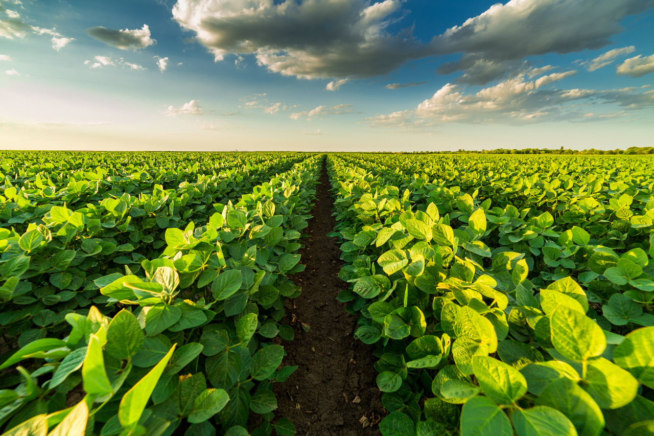 Meet The Team Agronomic Crops Alabama Cooperative Extension System climate-smart-agriculture-shows-promise-in-improving-azerbaijan-s