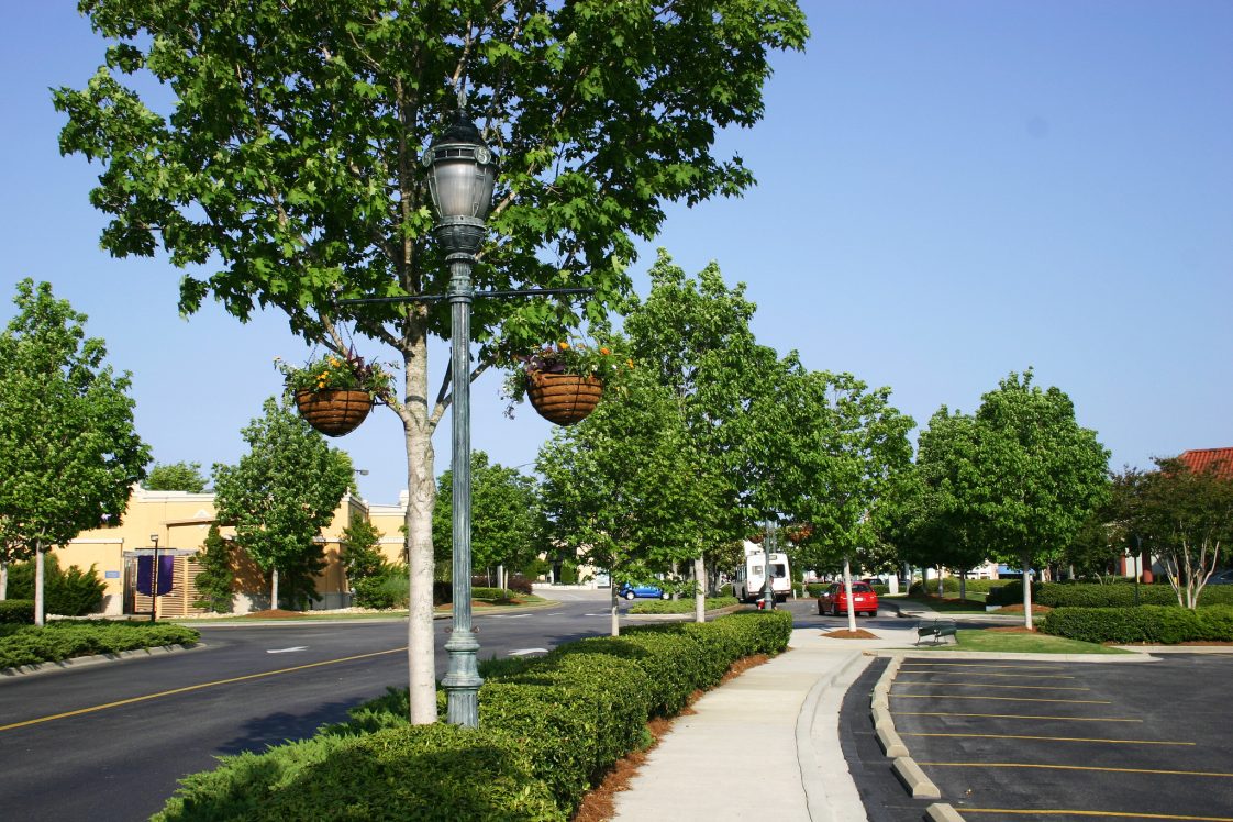 Trees, shrubs, and flowers in an urban landscape.
