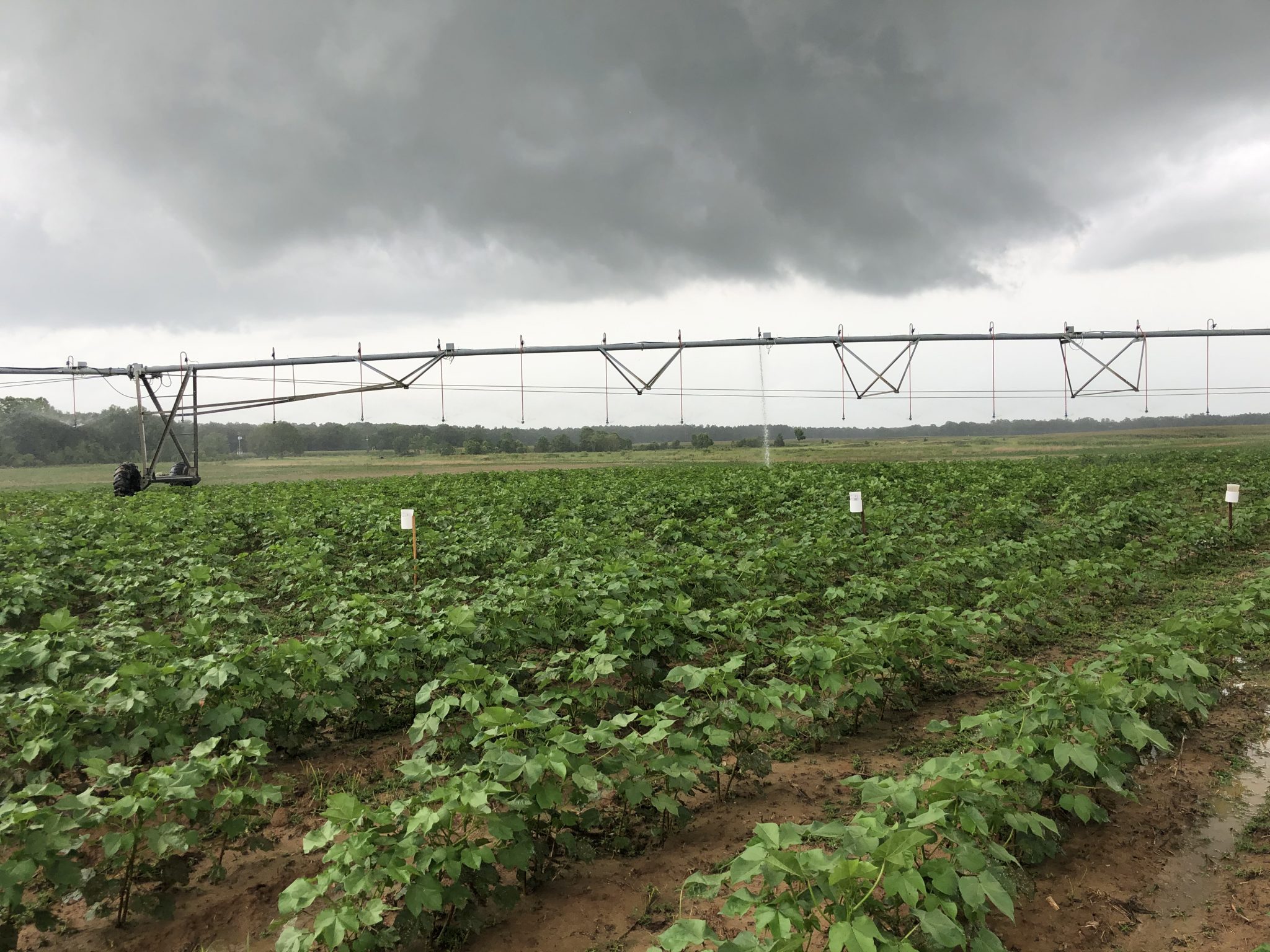 Storm clouds over a field with irrigation equipment.