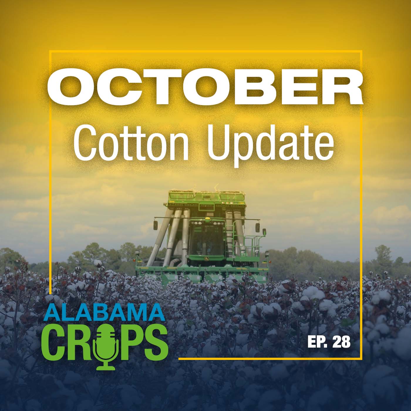 Episode 28 – October Cotton Update