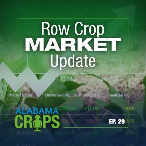 Episode 29 – Row Crop Market Update