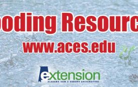 Flooding Resources www.aces.edu