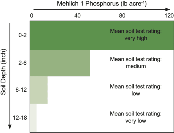 Figure 1. Distribution of Mehlich 1 phosphorus concentration in four soil depths.