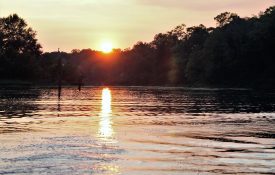 Sunset on the water - Tombigbee River