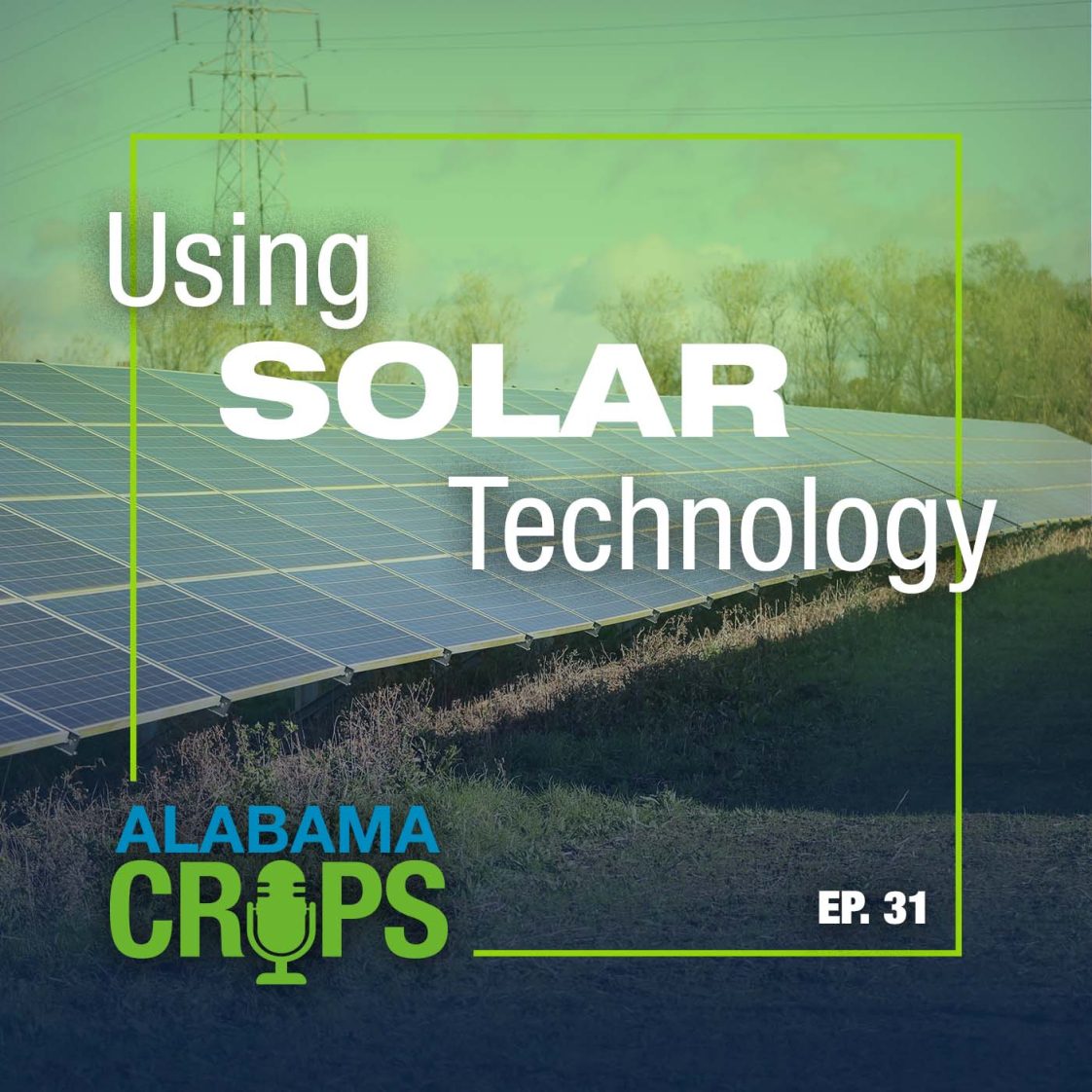 Episode 31 – Using Solar Technology episode artwork