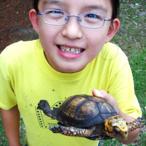 Young boy with a turtle