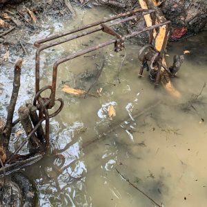 Beaver trapping.