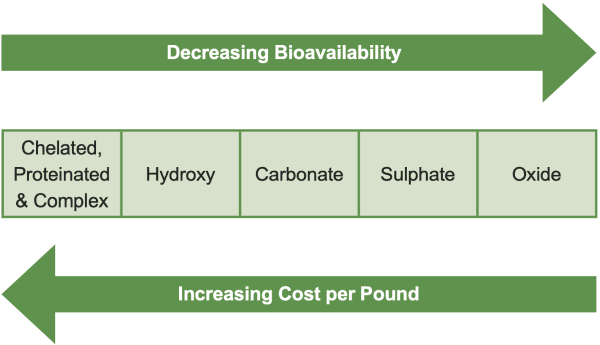 Figure 1. Bioavailability of different mineral sources