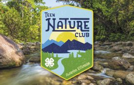 Teen Nature Club badge over an image of a forest with stream running through it.