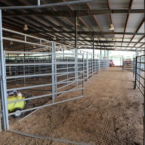 Agribition center stalls with open rail style for larger livestock