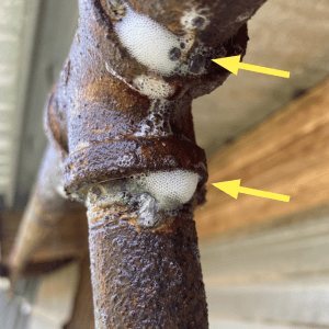 Figure 8. Check each side of threaded couplings, tees, 90-degree elbows, and caps. The tee in this photo has two small leaks.