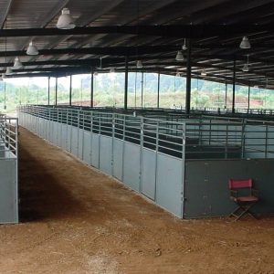 Agribition center stalls with enclosed wood .