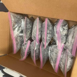 blueberries bagged for donations