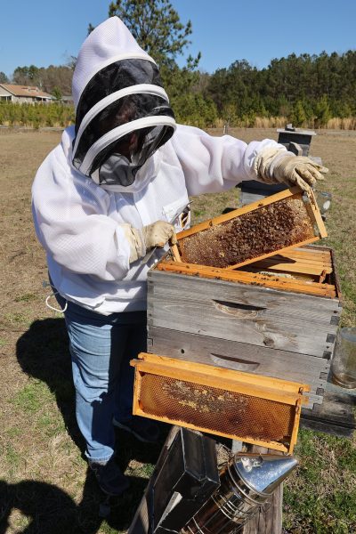 A beekeeper with the hive