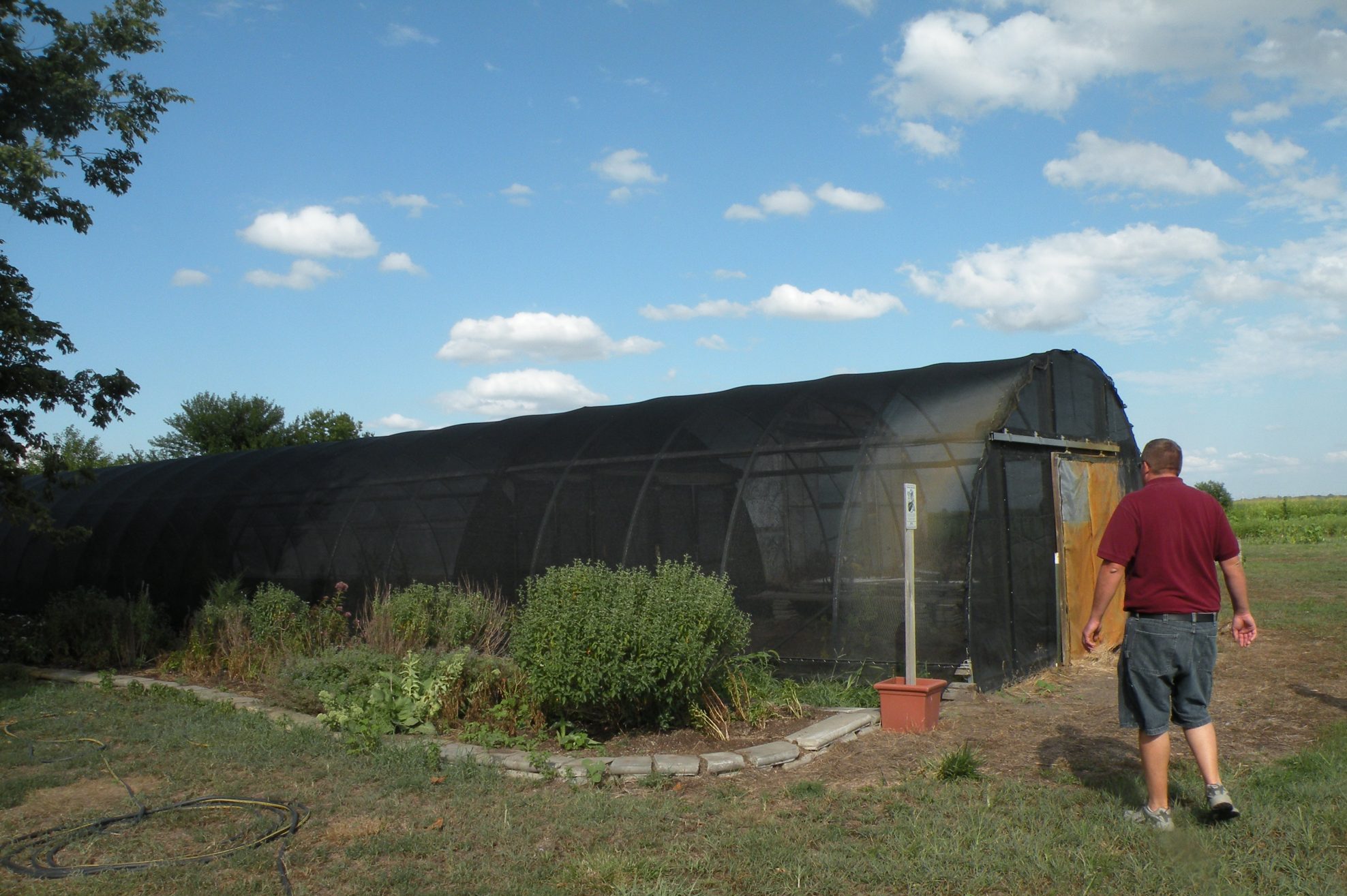 Figure 2. Low-cost insect netting or shade cloth can be used for high tunnel structures