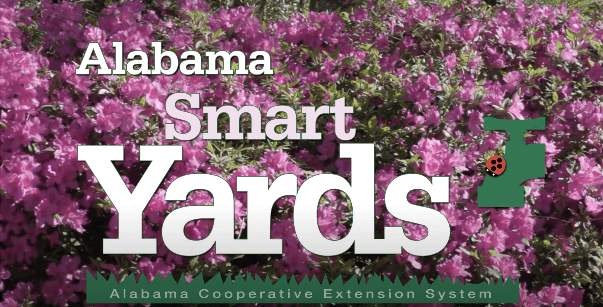 Alabama Smart Yards on Simply Southern
