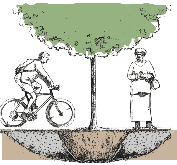Illustrated image of a woman standing on a street beside a tree and a man riding a bike.