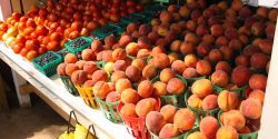 fruits at a farmers market