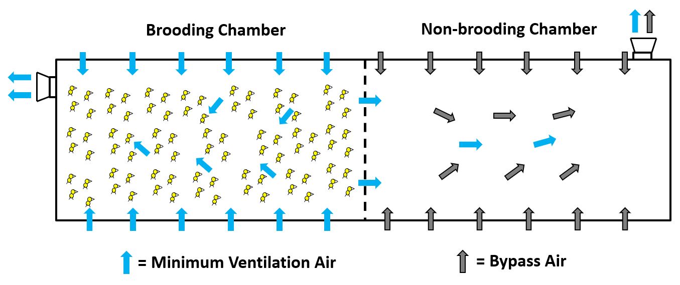 Cold Weather Ventilation & Moisture Control of Poultry Houses Alabama