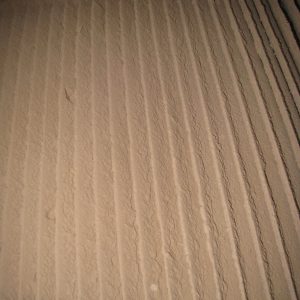 Figure 5. These photos were taken of a pullet house that was only 5 years old.