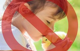 young girl kissing bird with line through the photo