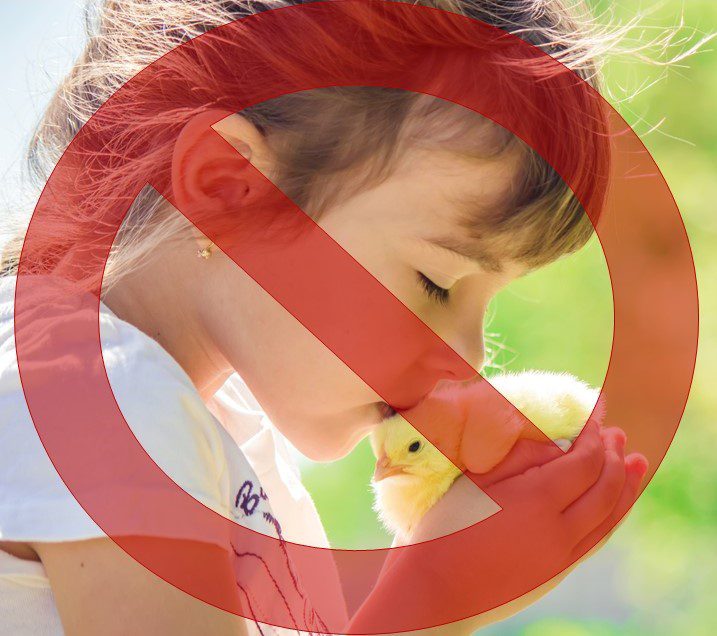 young girl kissing bird with line through the photo