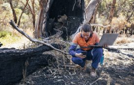 A woman in a forest with a laptop