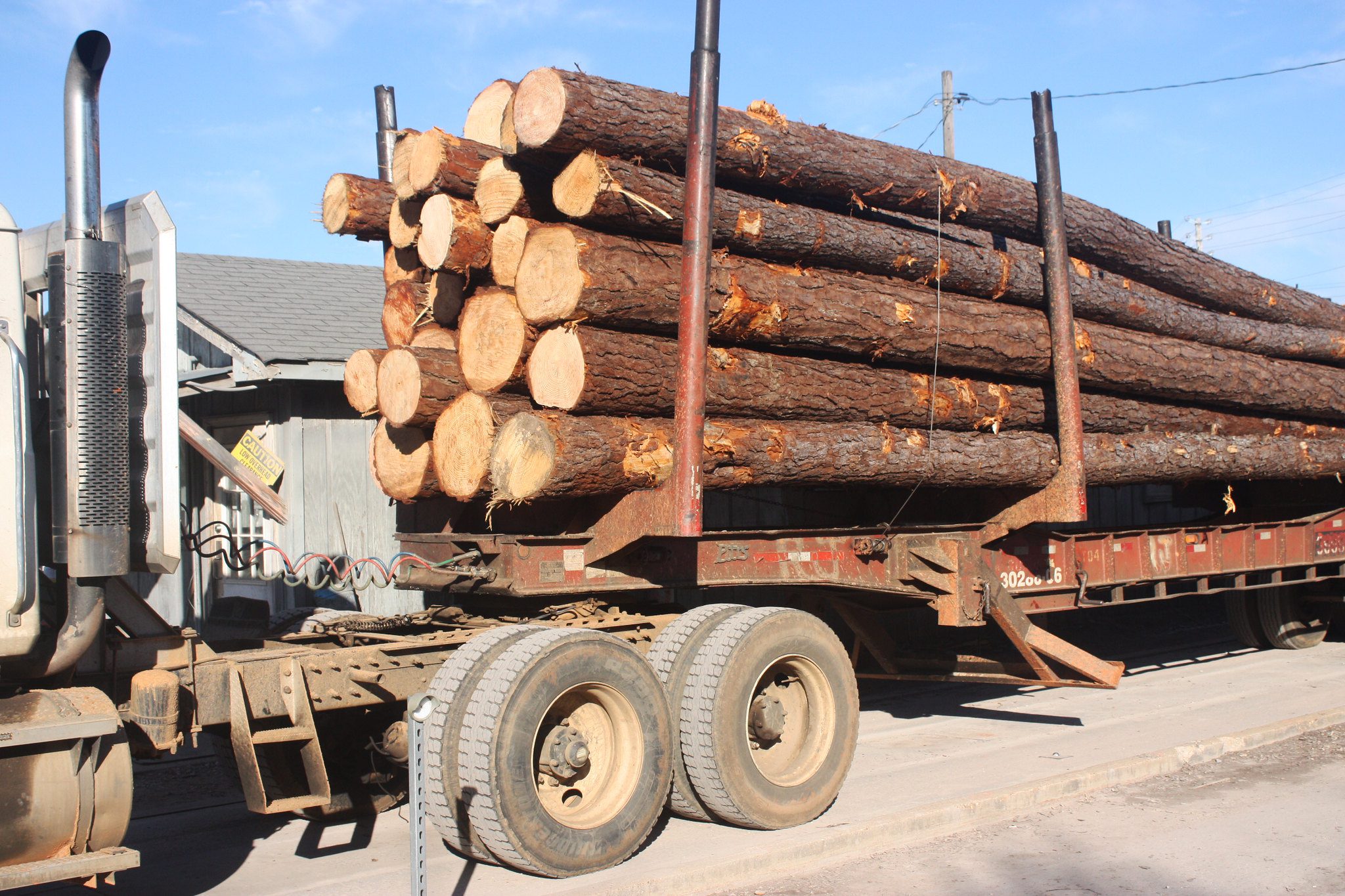 Timber on a truck