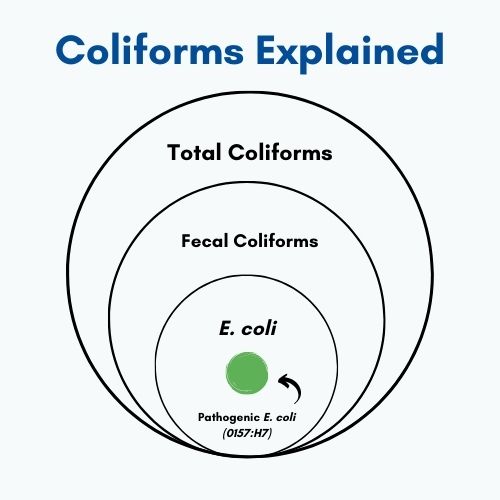 Figure 1. Fecal coliforms are a subset of total coliform bacteria. Escherichia coli (E. coli) is a subset of fecal coliform bacteria. Several strains of E. coli exist, and some, such as E. coli O157:H7, can cause serious illness.