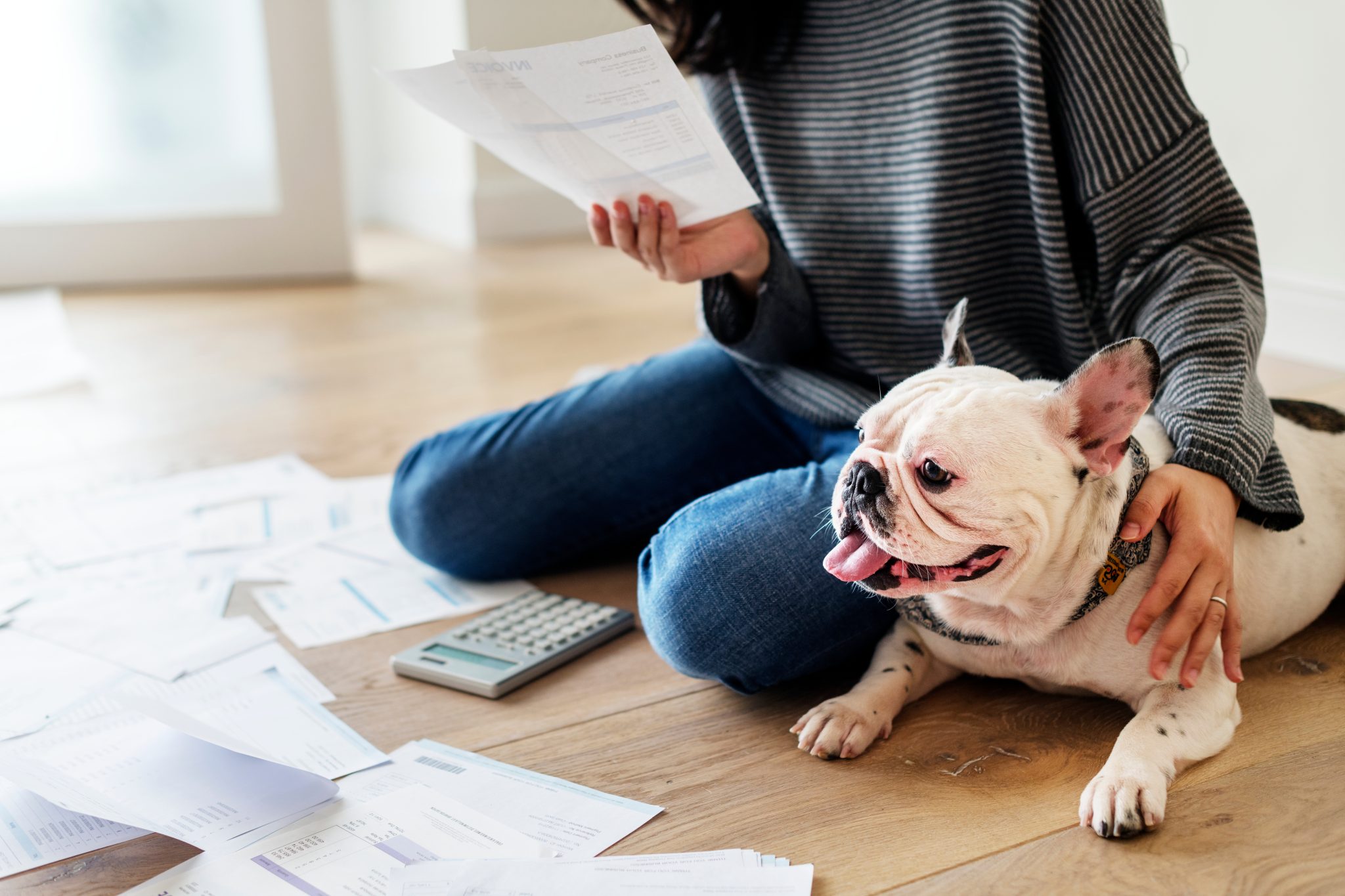 A woman looking a papers with her french bulldog beside her.