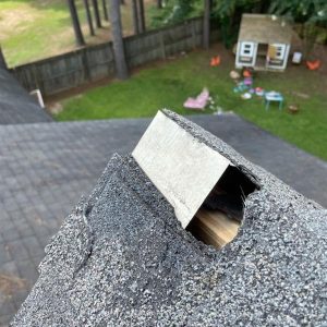 Squirrel damage on the roof of a house.