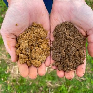 Audrey Gamble compares nitrogen-rich soil and poor quality soil.