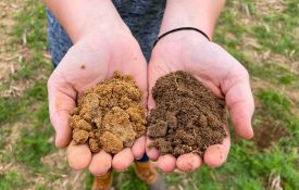 Audrey Gamble compares nitrogen-rich soil and poor quality soil.